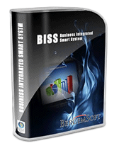 BISS - Business Integrated Smart System , zintegrowane systemy , wdrożenia , zarządzanie firmą ,  Oprogramowanie dla księgowości , BergemSoft 